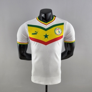 Player Version 2022 Senegal Home Soccer Jersey