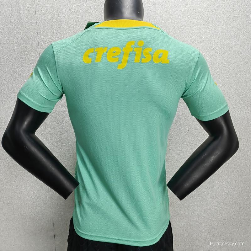 Fans Version 22/23 Palmeiras Green Special Jersey